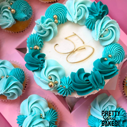 Mini Cake and Cupcakes